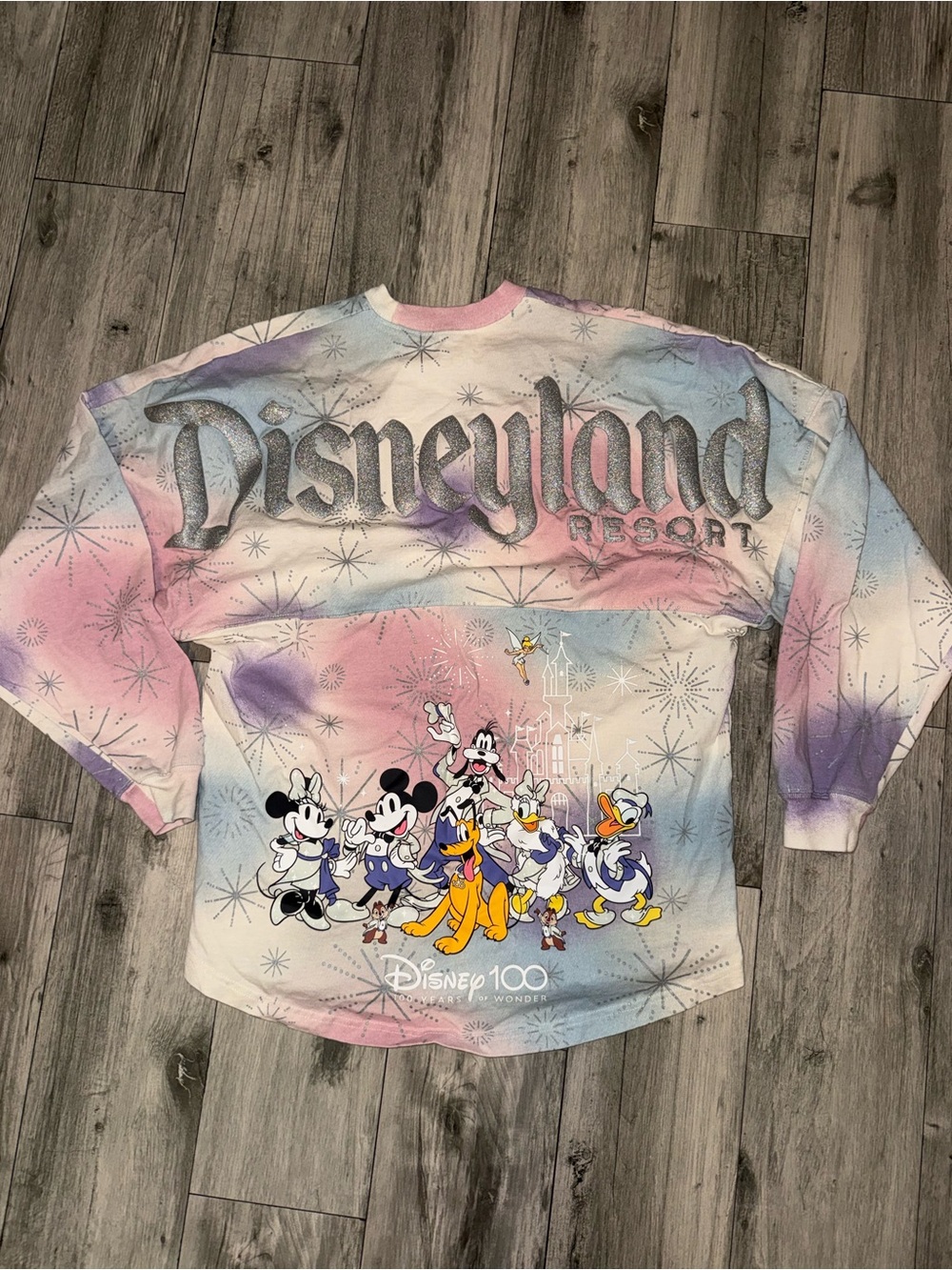 Disneyland Spirit Jersey 100 Year Anniversary